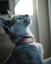 Load image into Gallery viewer, The "Nostalgia Rose" designer cat collar