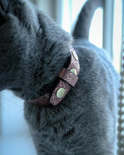 Load image into Gallery viewer, The "Nostalgia Rose" designer cat collar