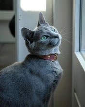 Load image into Gallery viewer, The "Nostalgia Rose" designer cat collar
