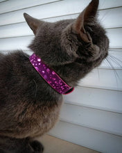 Load image into Gallery viewer, The "Viola Drops" designer cat collar