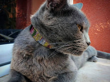 Load image into Gallery viewer, The ''Moby'' designer cat collar