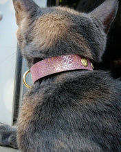 Load image into Gallery viewer, The "Nostalgia Rose" designer cat collar