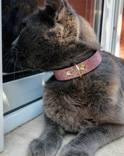 Load image into Gallery viewer, The "Nostalgia Rose" designer cat collar
