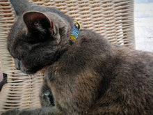 Load image into Gallery viewer, The ''Moby'' designer cat collar