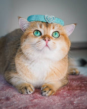 Load image into Gallery viewer, The "Aquamarine" designer cat collar