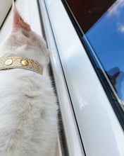 Load image into Gallery viewer, The &quot;Balthazar&quot; designer cat collar
