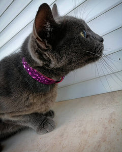 The "Viola Drops" designer cat collar