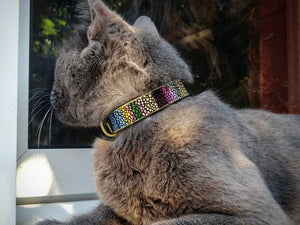 The ''Moby'' designer cat collar