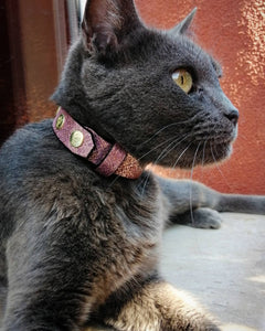 The "Nostalgia Rose" designer cat collar