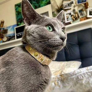 The "Balthazar" designer cat collar